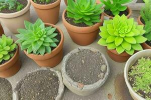 parte superior ver un cerca arriba de plantas en ollas en un mesa. antecedentes. ai generativo Pro foto