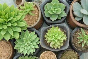 top view a close up of plants in pots on a table. background. AI Generative Pro Photo