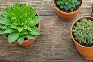 parte superior ver un cerca arriba de plantas en ollas en un mesa. antecedentes. ai generativo Pro foto