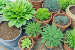 top view a close up of plants in pots on a table. background. AI Generative Pro Photo