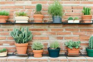 Shelves with different combinations of cactus and pots. background. AI Generative Pro Photo