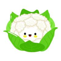 Cute funny Cauliflower character. Vector hand drawn cartoon kawaii character illustration icon. Isolated on white background. Happy Cauliflower character concept