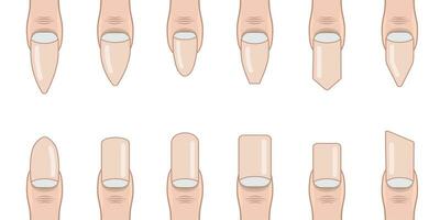 Vector shapes  of different fashion nails, fingernails design mock up templates