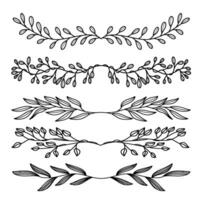 Greenery leaf divider vector