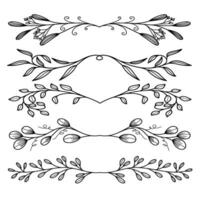 Greenery leaf divider vector