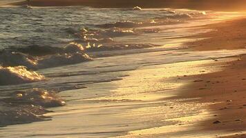 Waves of mediterranean sea at sunset video