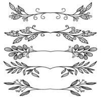 Greenery leaf divider vector