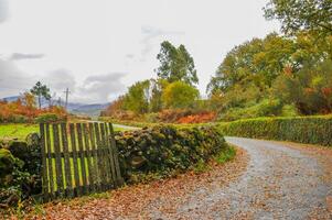 The natural beauty of autumn colors and falling leaves photo