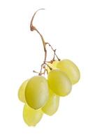 A small beautiful bunch of ripe green grapes isolated on a white background. photo