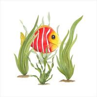 Watercolor illustration of marine fauna. Seafish, seaweed, plants, water, sea, ocean. Print, design, poster, fabric, decoration, pattern vector