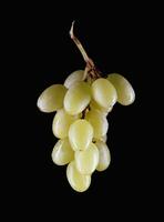 A bunch of green grapes on a dark background. photo