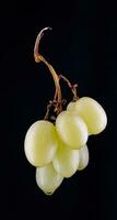 A small beautiful bunch of ripe green grapes on a dark background. photo