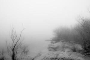 Idyllic landscape of a lagoon in a foggy environment photo