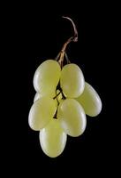 A small bunch of ripe green grapes isolated on a black background. photo