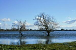 Flooded fields after big storms photo