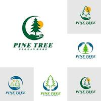 Set of Pine Tree with Care logo design vector. Creative Pine Tree logo concepts template vector