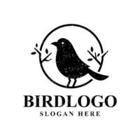 Vector graphic collection of bird silhouettes, easy to edit and resize, EPS 10