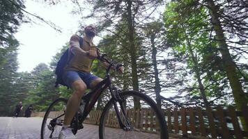 Cycling among the trees in the forest. video