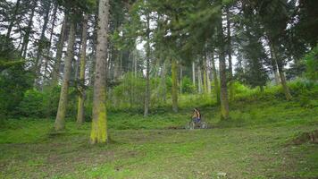 ciclismo en con baches carreteras en el bosque. video