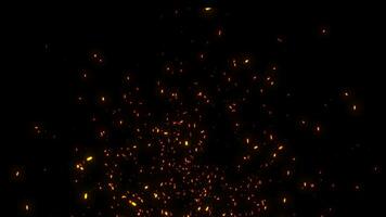 flygande gnistor och kol från en brand. abstrakt lysande partiklar av brinnande brand och rök på en svart bakgrund, bål bloss video