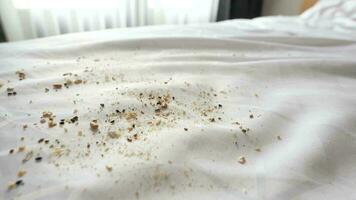 dirty stain or dust on white bed video