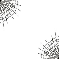Simple spider web on a white background vector