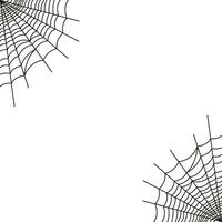 Simple spider web on a white background vector