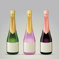 Set of vector wine bottles in different colors