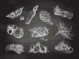A hand-drawn set of vegetables in sketch style. Vector vegetables on chalkboard background. Vintage doodle illustration. Sketch for cafe menus and labels. The engraved image. Harvesting.