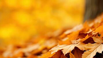 Autumn background with yellow maple leaves. AI Generated. photo
