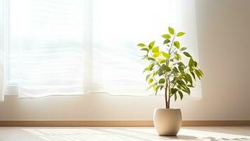 Indoor plant in a white vase on a window background. AI Generated. photo