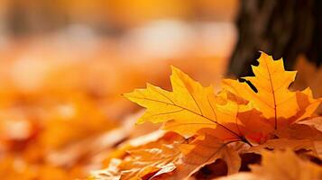 otoño hojas en el suelo en el parque. ai generado. foto