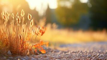 Autumn meadow with dry grass and sunbeams. Nature background. AI Generated. photo