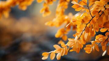 Autumn background with orange leaves. AI Generated. photo