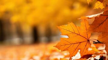 otoño arce hojas en un borroso antecedentes. ai generado. foto