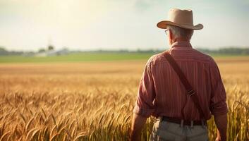 Rear view of senior farmer standing in wheat field and looking away. AI Generated. photo