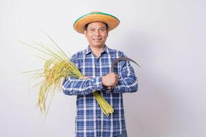 asiático granjero en un a rayas camisa participación un hoz y cosecha arroz granos en un blanco antecedentes. foto