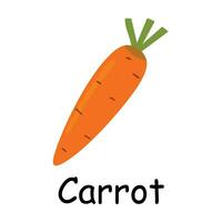 Carrot illustration flat vector. Vegetables flashcard. Element for kitchen, cooking, super market, healthy lifestyle concept vector