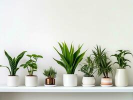 Home garden houseplants displayed in ceramic pots on white shelf against white wall AI Generative photo