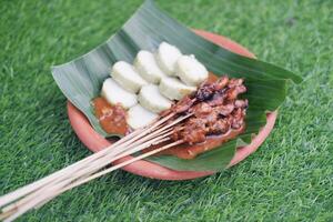 chicken satay on a white plate with peanut sauce photo