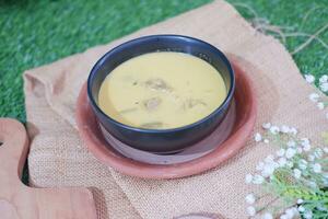 chicken curry with coconut milk in a bowl photo