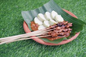 chicken satay on a white plate with peanut sauce photo