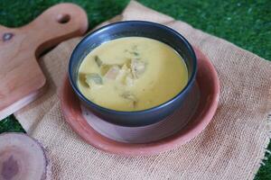 chicken curry with coconut milk in a bowl photo