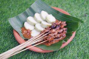 chicken satay on a white plate with peanut sauce photo