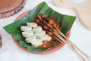 chicken satay on a white plate with peanut sauce photo