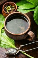 Herbal plantain tea photo