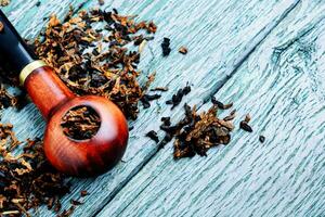 Smoker tobacco pipe photo