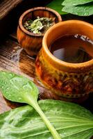 Herbal plantain tea photo