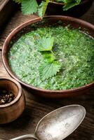 Nettle leaf soup photo