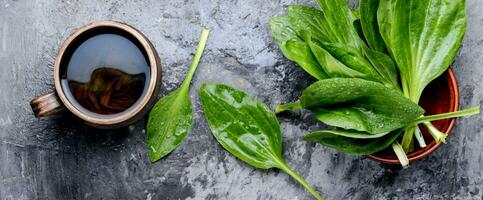 Herbal plantain tea photo